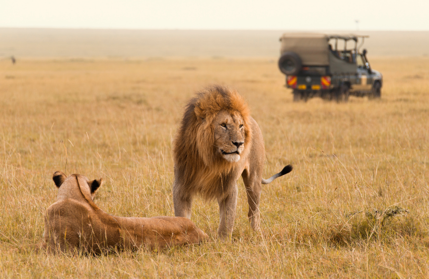 Eastern or Southern Africa Safari: Does it matter?