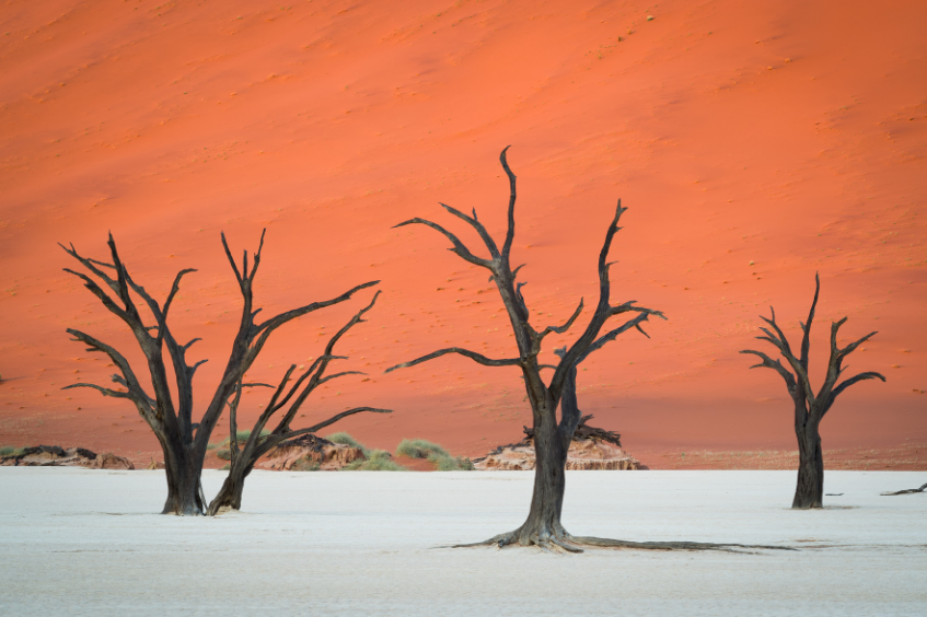 Vast, remote & desolate create amazing scenery in Namibia!