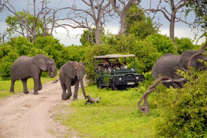 Safaris seem to produce more anxiety around packing than any other destination.  Don’t worry.  It really isn’t that much different than any other trip.