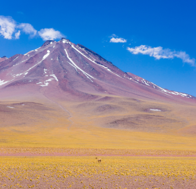 What’s cool and dry and full of stars?  Chile’s Atacama Desert!